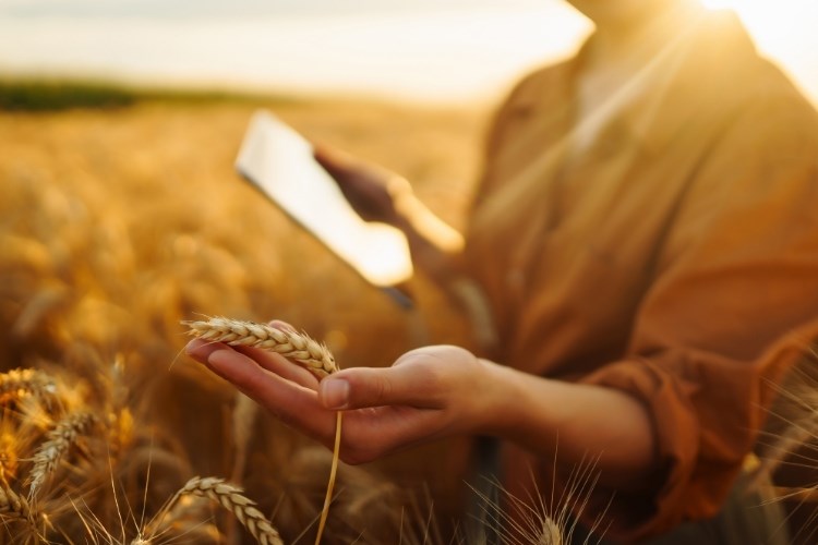 Slika /slike/Priopcenja/Foto_NOVO PRIOPĆENJA/Poljoprivreda/ef45hg54hwegf (1).jpg